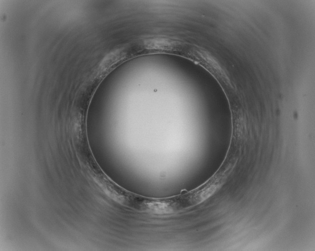 X0000067950265200604131443