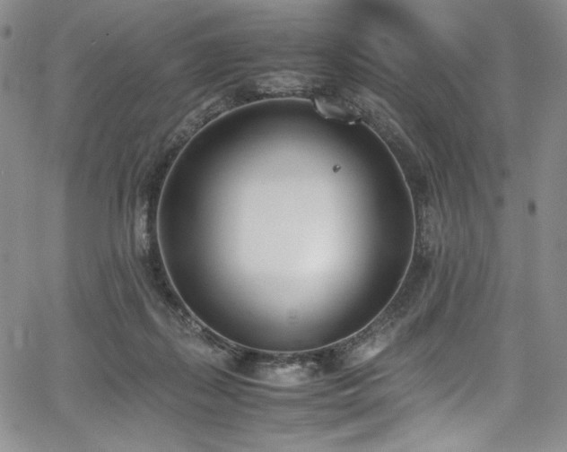 X0000067950267200604131443