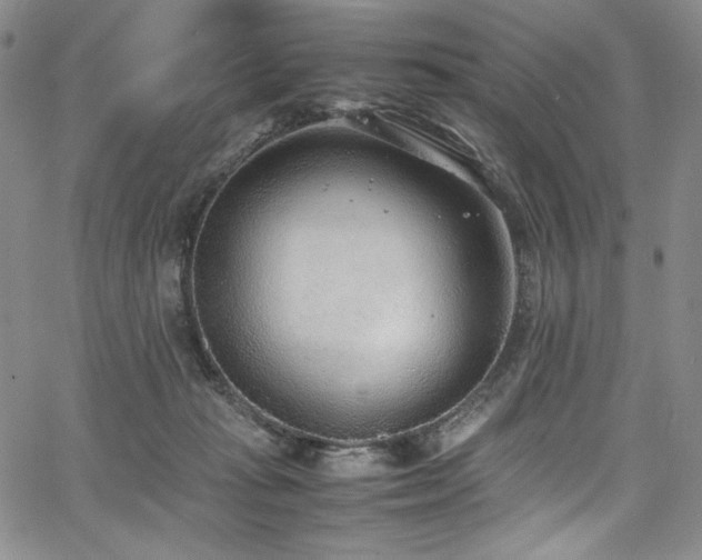 X0000067950269200604131443