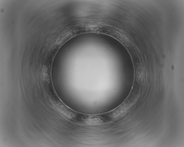 X0000067950270200604131443