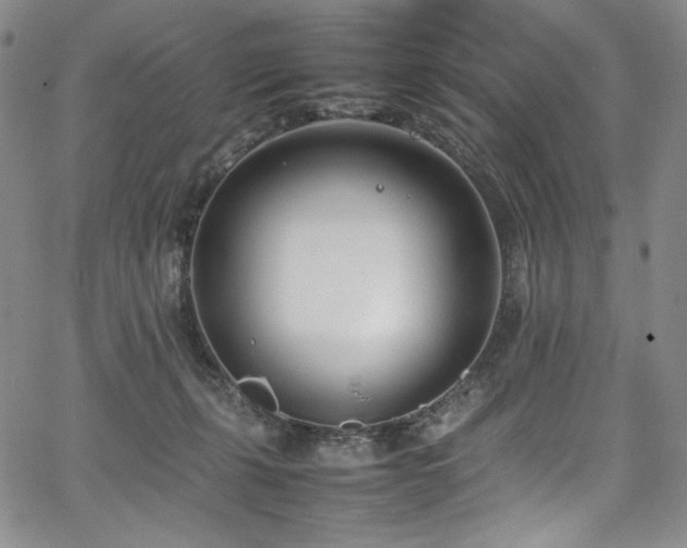 X0000067950271200604131443