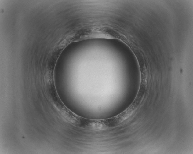 X0000067950272200604131443