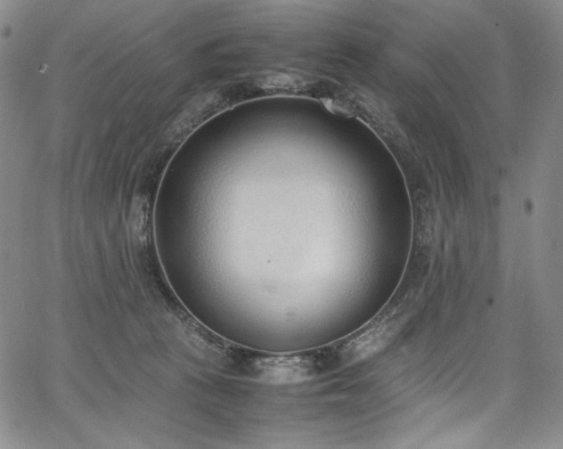 X0000067950273200604131443