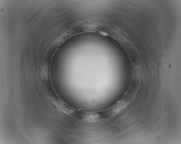 X0000067950274200604131443