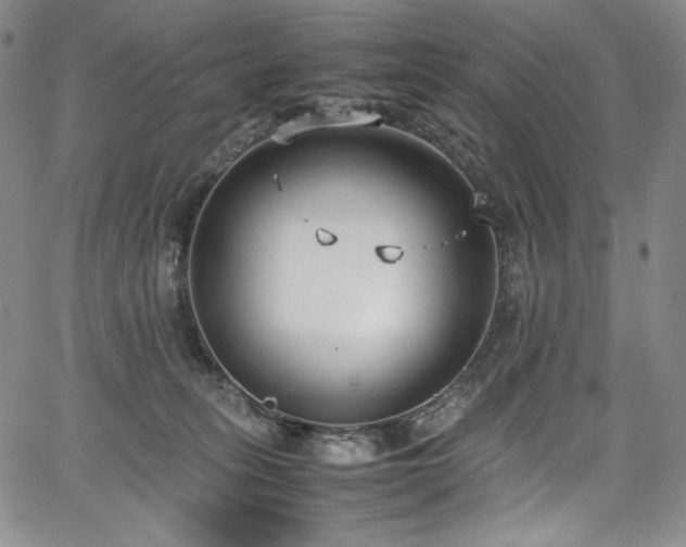 X0000067950275200604131443