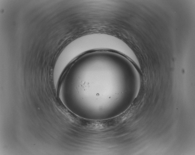 X0000067950276200604131443