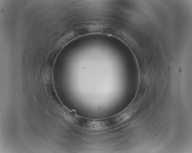 X0000067950277200604131443