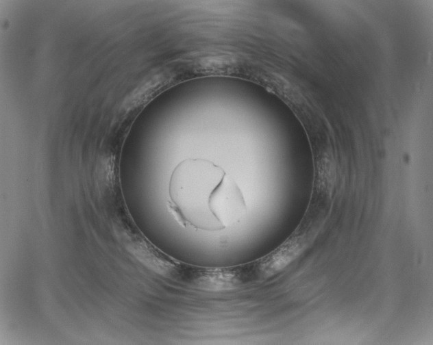 X0000067950278200604131443