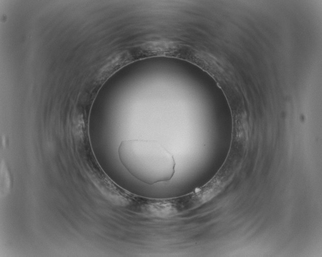 X0000067950279200604131443