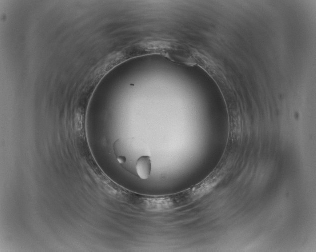 X0000067950281200604131443