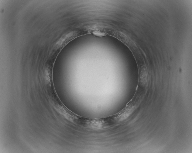 X0000067950282200604131443