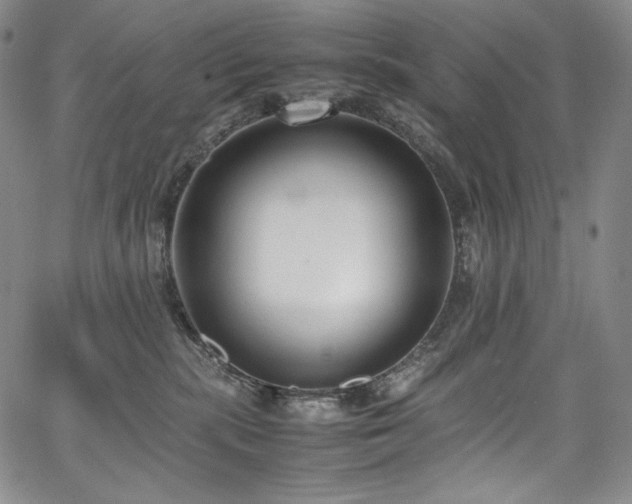 X0000067950283200604131443