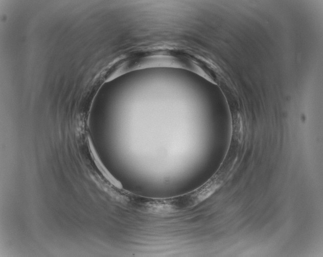 X0000067950284200604131443