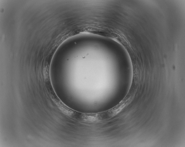 X0000067950285200604131443