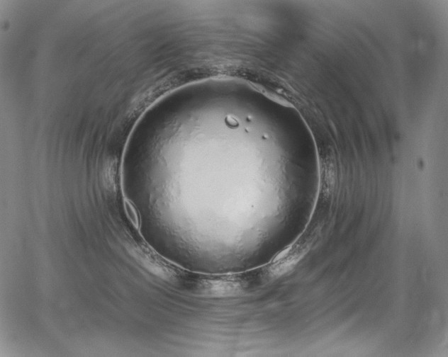 X0000067950286200604131443