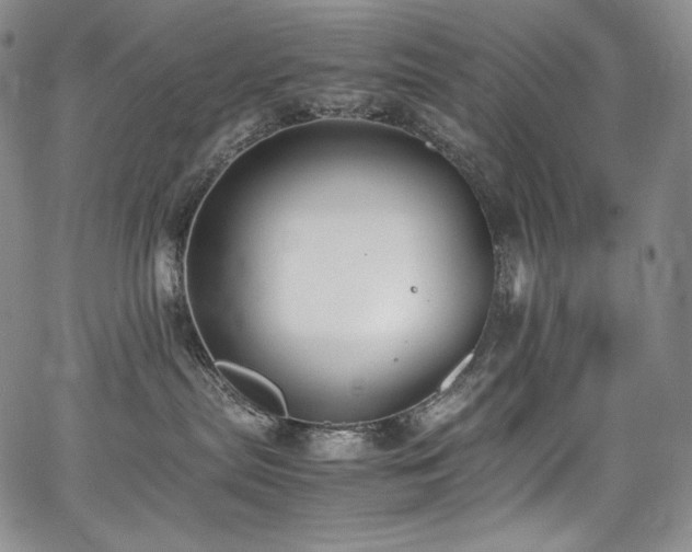 X0000067950287200604131443