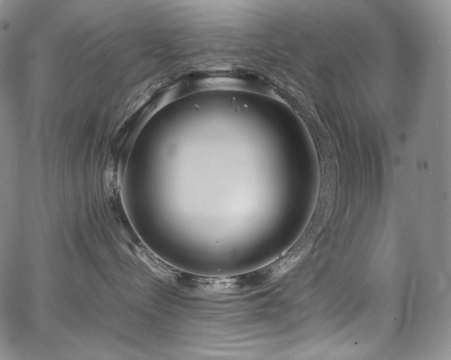 X0000067950288200604131443