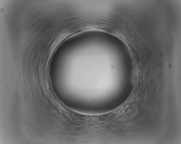 X0000067950289200604131442