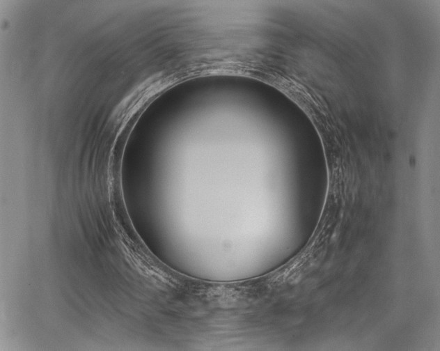 X0000067950290200604131442