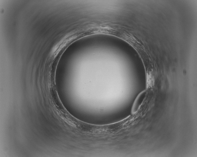 X0000067950291200604131442