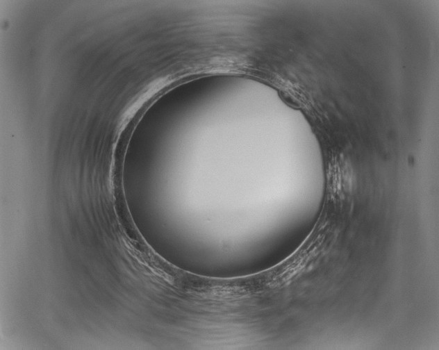 X0000067950292200604131442