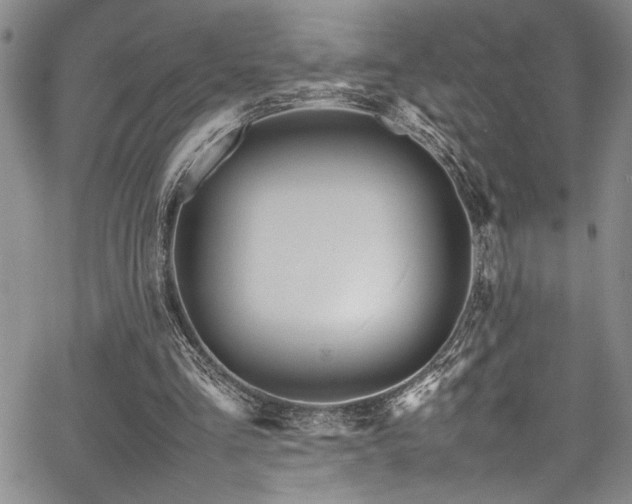 X0000067950293200604131442