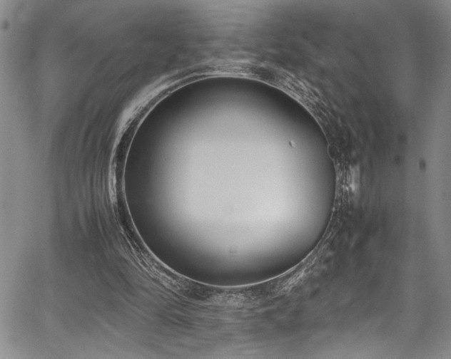 X0000067950294200604131442