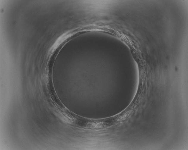 X0000067950295200604131442