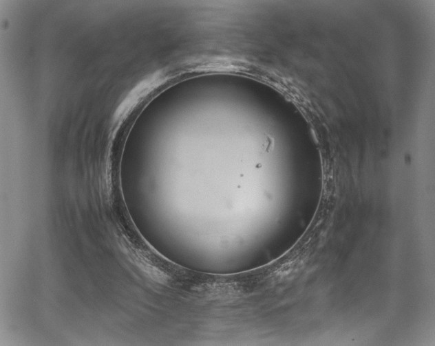 X0000067950296200604131442