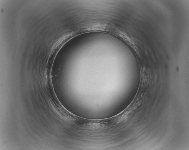 X0000067950298200604131442