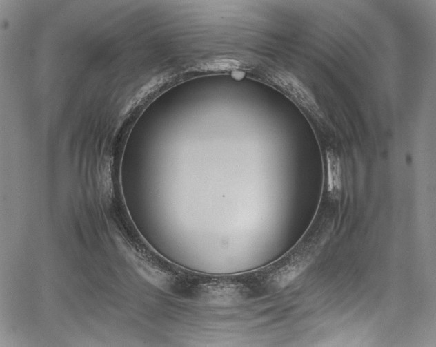 X0000067950300200604131442