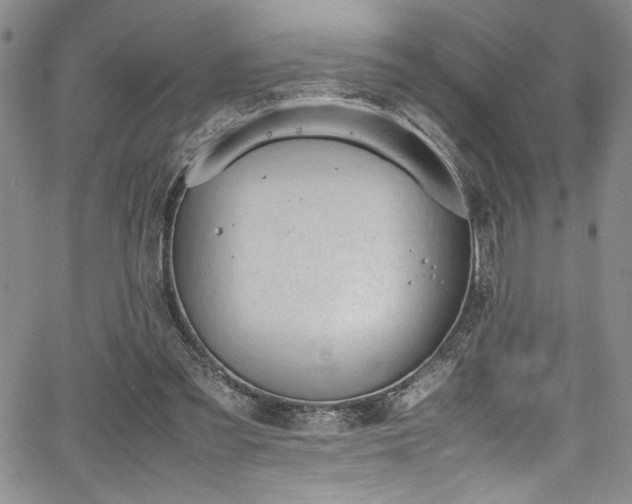 X0000067950301200604131442