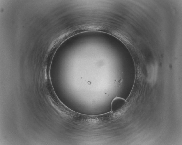 X0000067950302200604131442