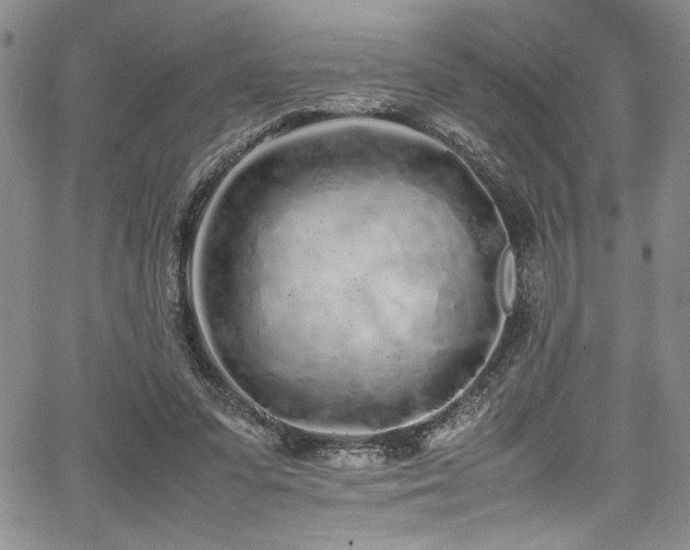 X0000067950303200604131442