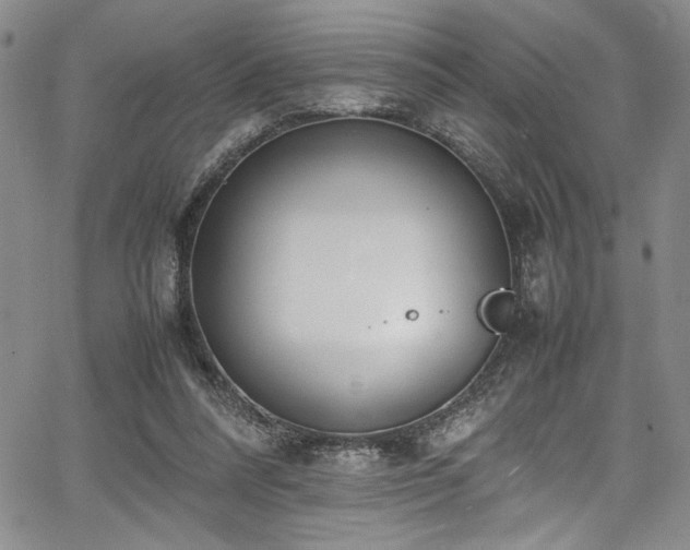 X0000067950304200604131442