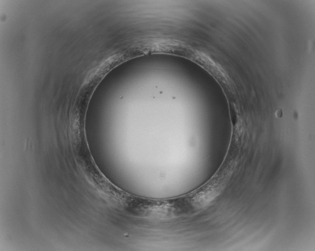 X0000067950306200604131442