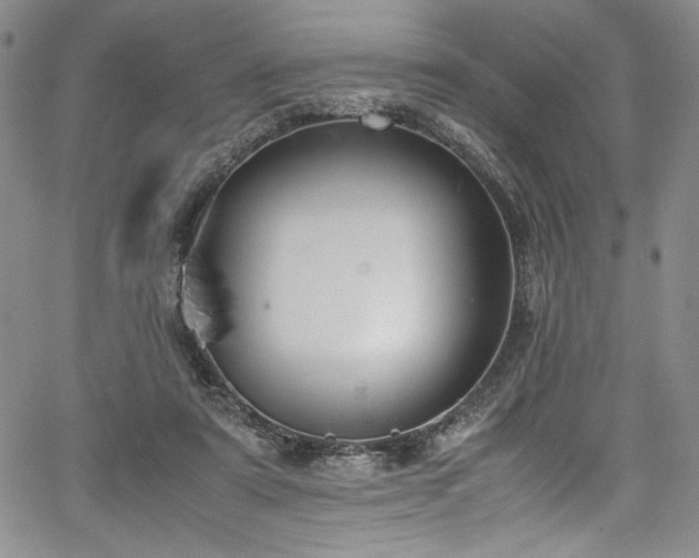 X0000067950307200604131442