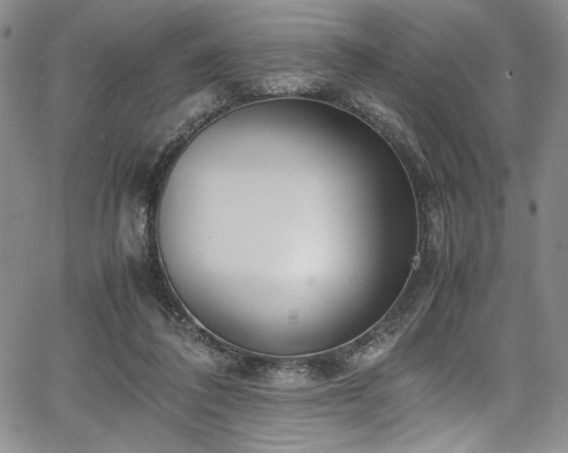 X0000067950308200604131442