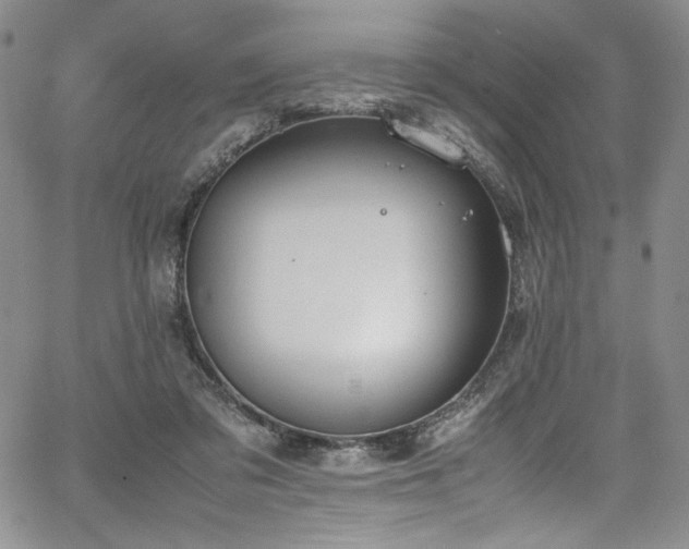 X0000067950309200604131442