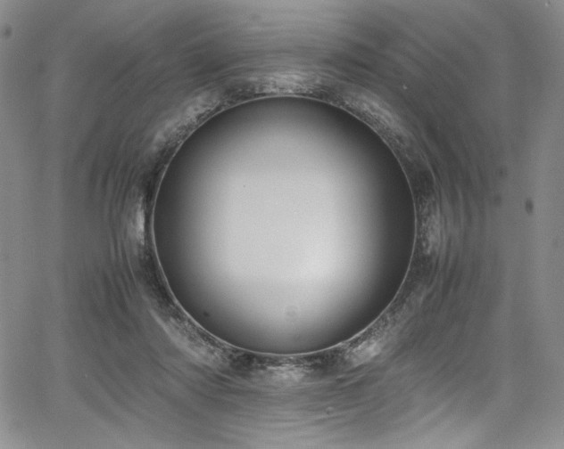 X0000067950310200604131442