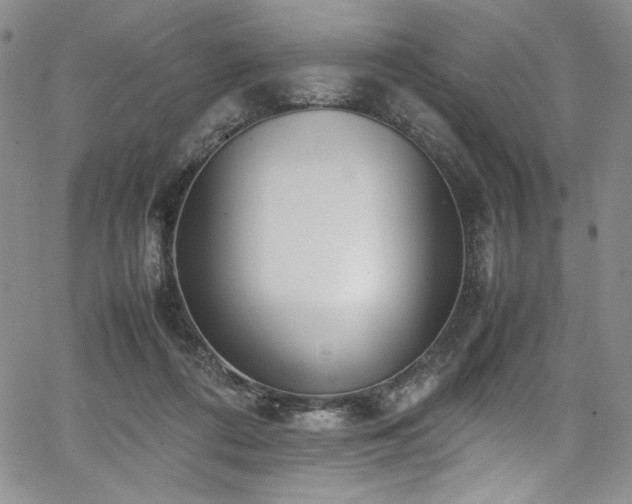 X0000067950312200604131442