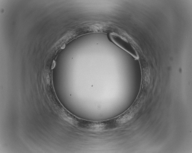 X0000067950313200604131442