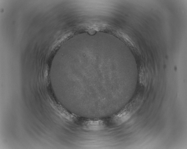 X0000067950314200604131442