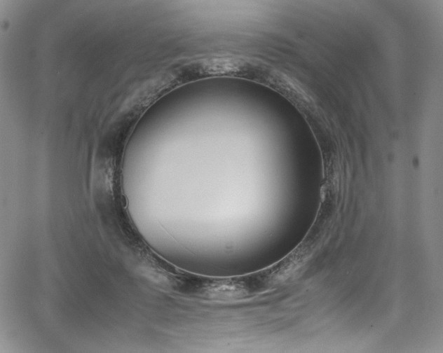 X0000067950315200604131442