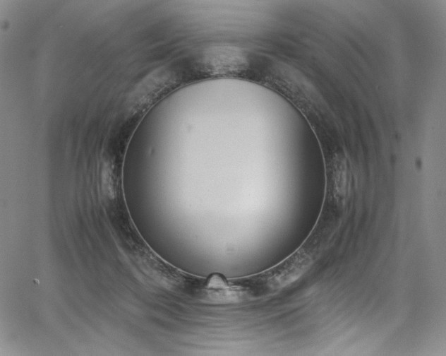 X0000067950316200604131442