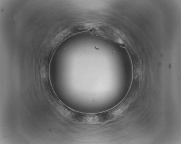 X0000067950317200604131442