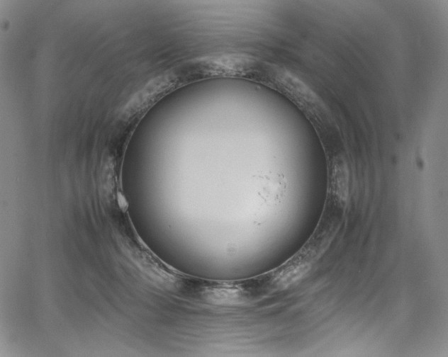 X0000067950318200604131442