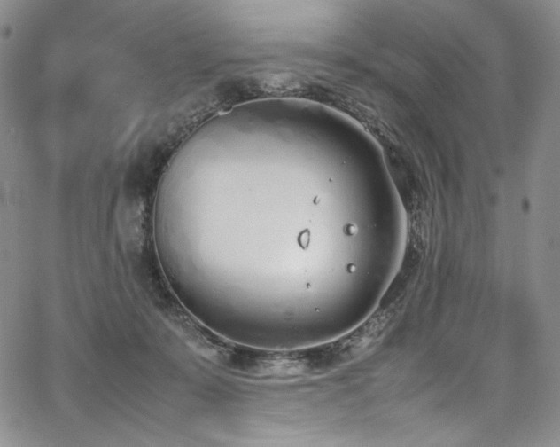 X0000067950319200604131442