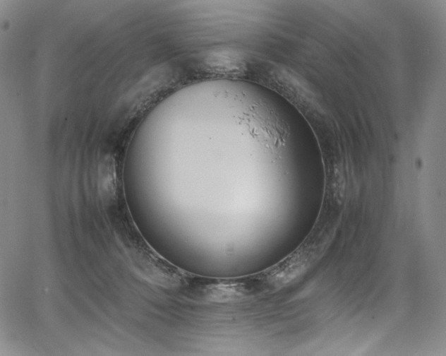 X0000067950320200604131442