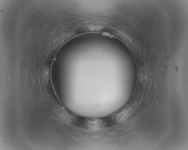 X0000067950321200604131442